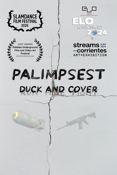 Poster do Filme Palimpsest
