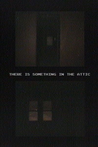 Poster do Filme There Is Something In The Attic