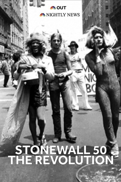 movie poster for Stonewall 50: The Revolution