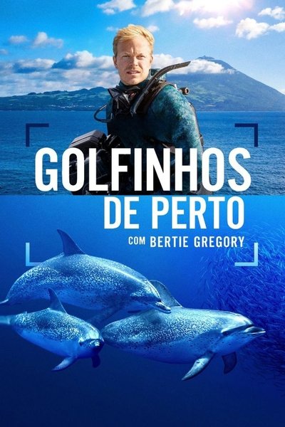Poster do Filme Golfinhos de Perto com Bertie Gregory