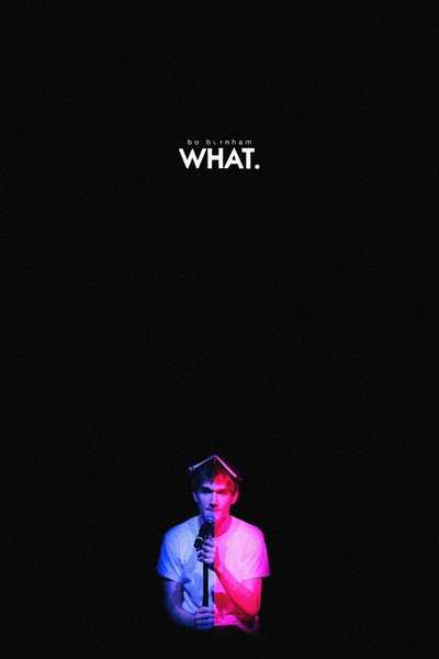 Bo Burnham: What.