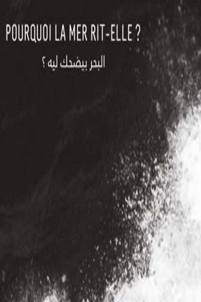 Poster do Filme Pourquoi la mer rit-elle ?
