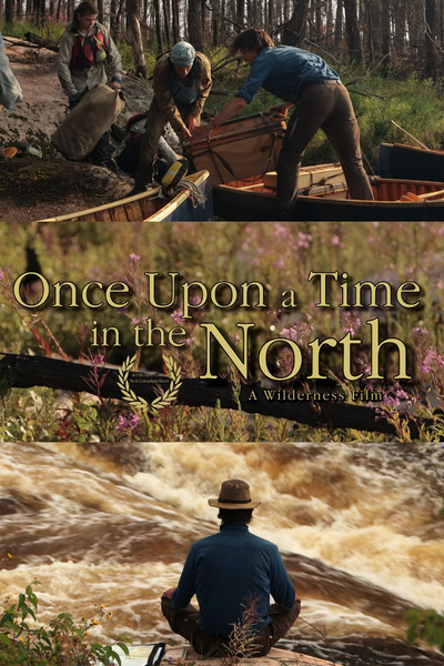 Poster do Filme Once Upon a Time in the North