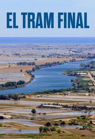 movie poster for The Final Stretch