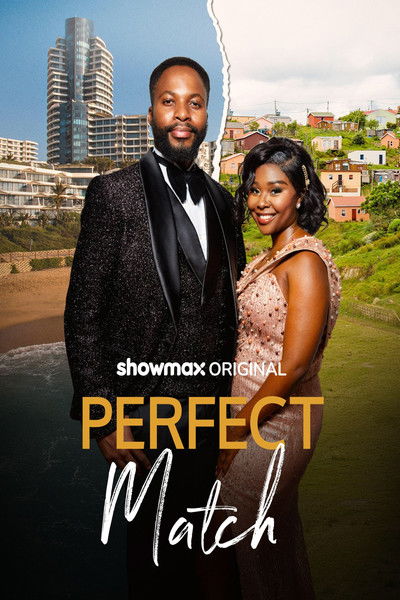Poster do Filme Perfect Match