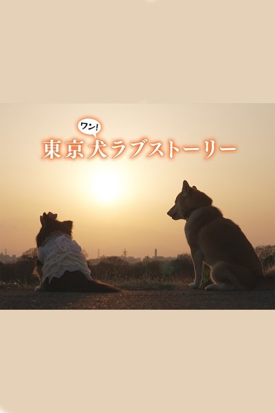 poster for Tokyo Dog Love Story