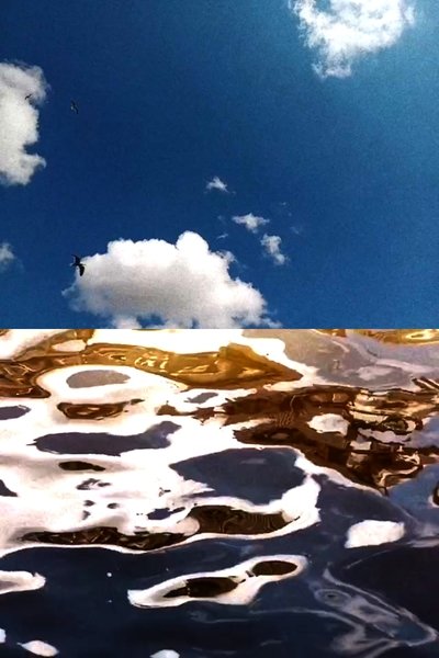 Poster do Filme Landscape For Birds
