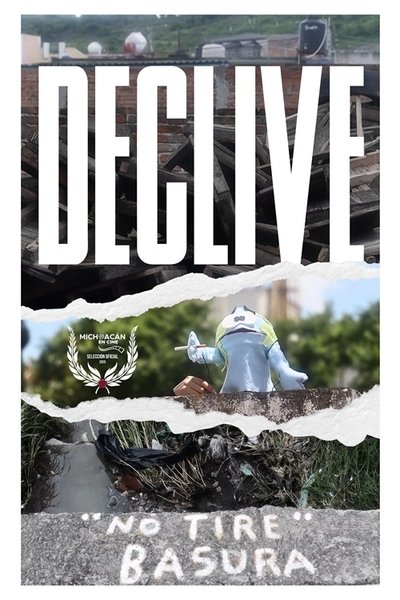 movie poster for Declive