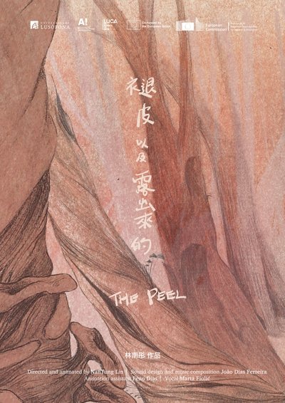 movie poster for The Peel