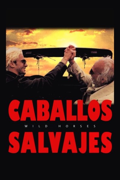Poster for the movie Wild Horses
