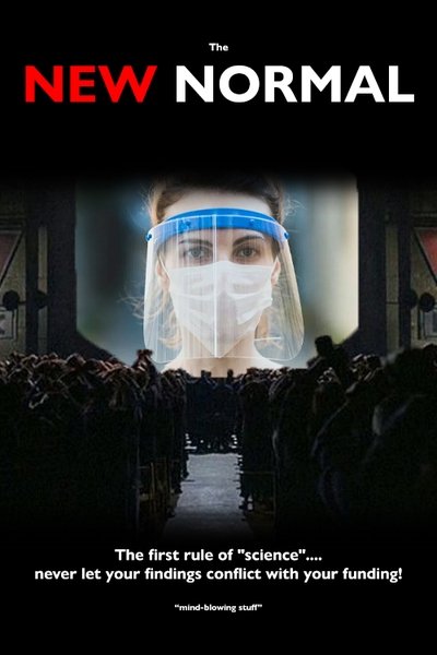 Poster do Filme THE NEW NORMAL