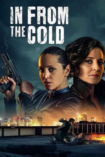 In From the Cold TV Show Poster