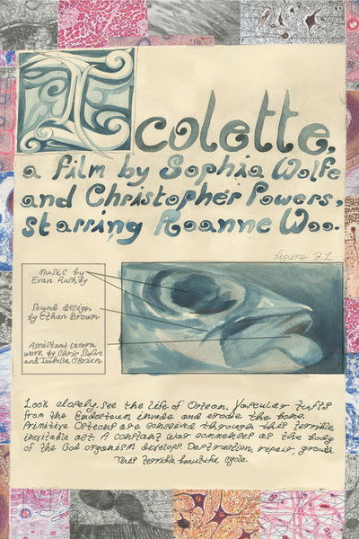 Poster do Filme Icolette