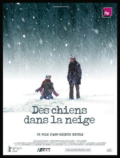 Des chiens dans la neige