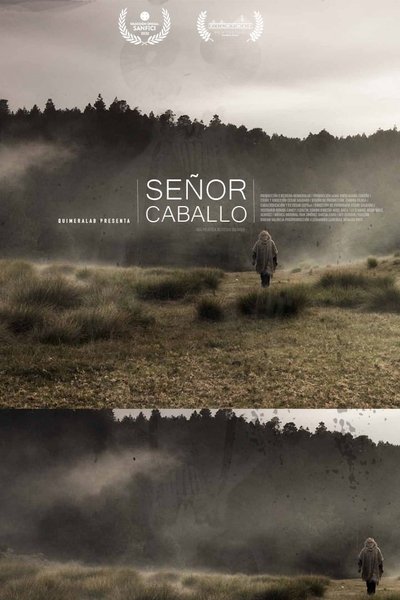 Poster do Filme Señor Caballo
