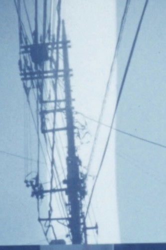 movie poster for In the Spring Season