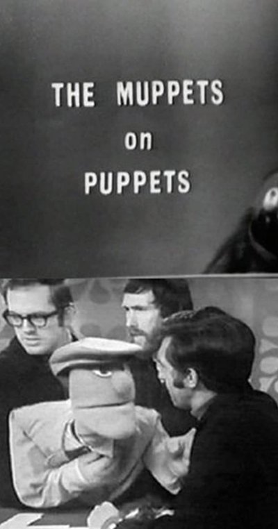Poster do Filme The Muppets on Puppets
