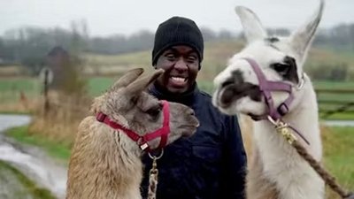 Melvin og de kronjyske lamaer