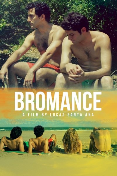 Poster for the movie Bromance