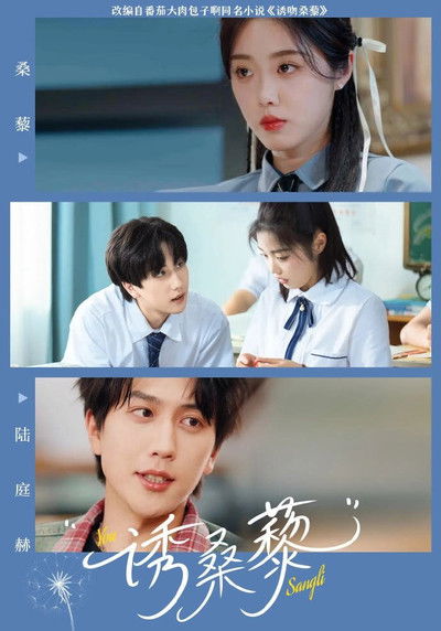 poster for 诱桑藜