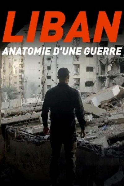movie poster for Liban : anatomie d'une guerre