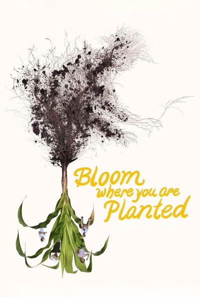 Poster do Filme Bloom Where You Are Planted