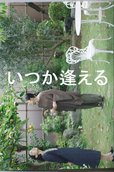 We will Meet Someday