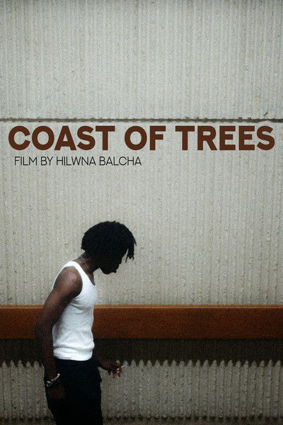 Poster do Filme Coast of Trees
