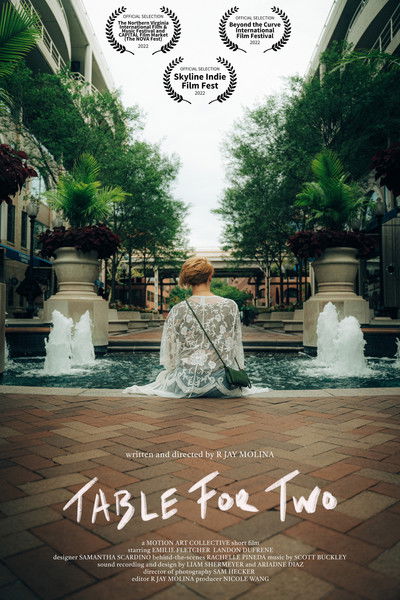 Poster do Filme Table for Two