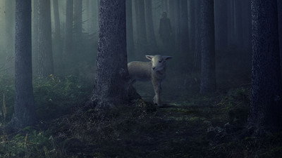 Görsel #145859