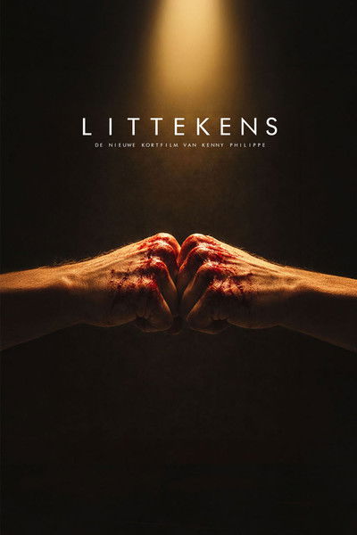 movie poster for Littekens