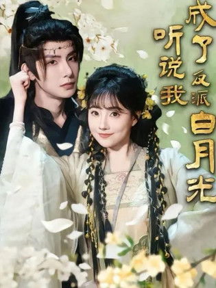 poster for 听说我成了反派白月光