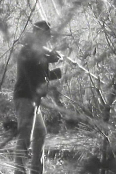 Poster do Filme The Stringybark Creek Massacre