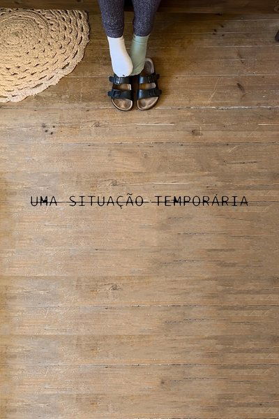 movie poster for A Temporary Situation