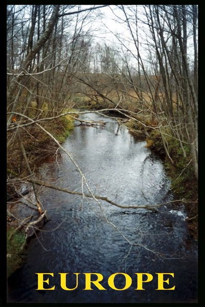 movie poster for Europe