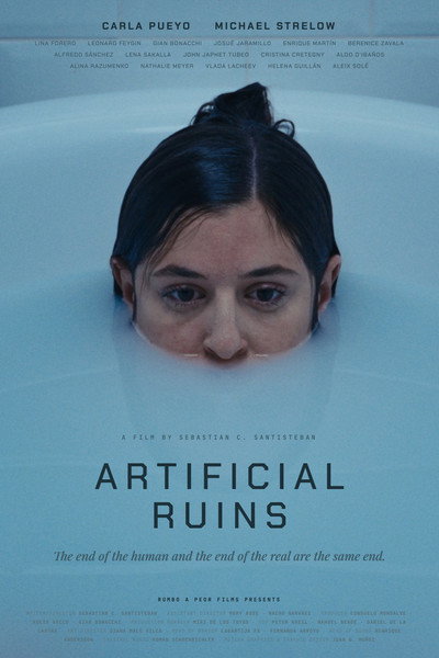 Artificial Ruins