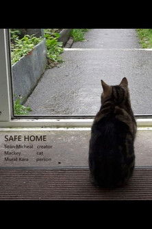 Poster do Filme Safe Home