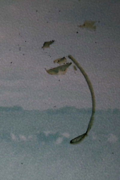 Poster do Filme Vergeten Landschap 2