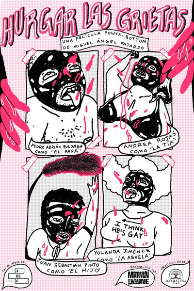 Poster do Filme Hurgar las grietas