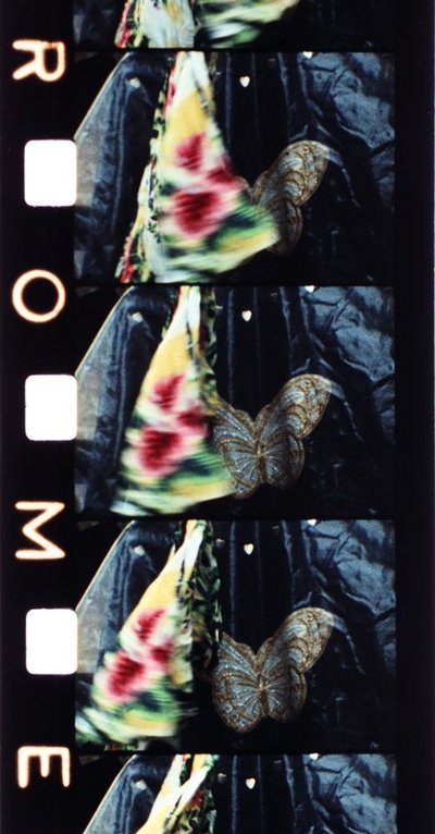 movie poster for Malik