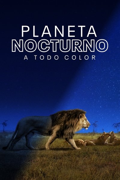 Planeta nocturno: A todo color