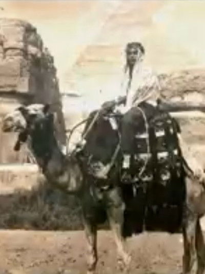 Poster do Filme Hard Drive