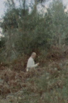 Poster do Filme Barbas de Baleia