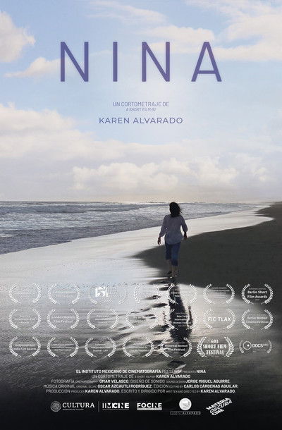 Poster do Filme Nina