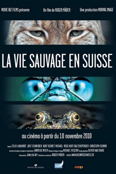 Poster do Filme Wildnis Schweiz