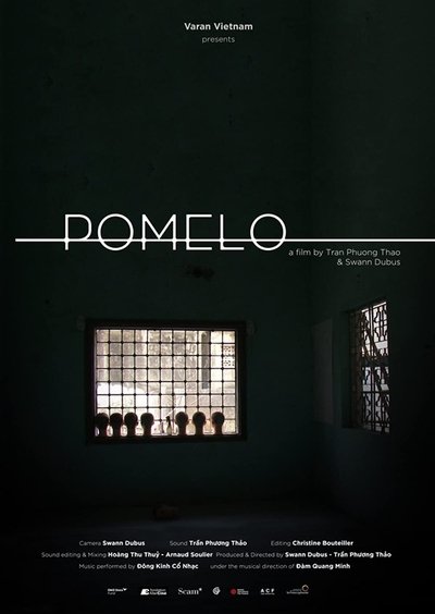 Poster do Filme Bưởi