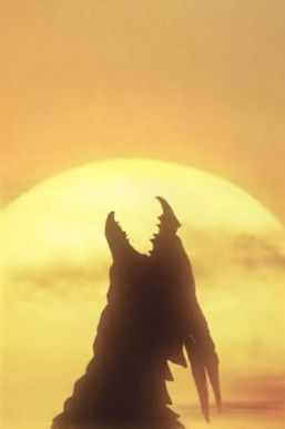 Poster do Filme Superfauna Safari