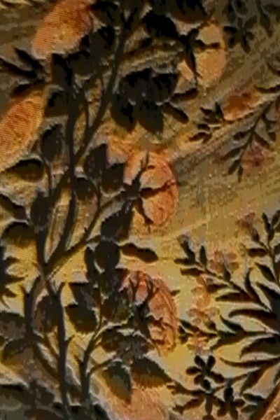 Poster do Filme Dal De rerum natura