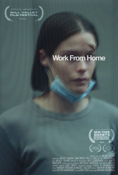 Poster do Filme Work From Home