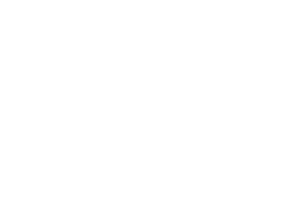Ring 2 Logo